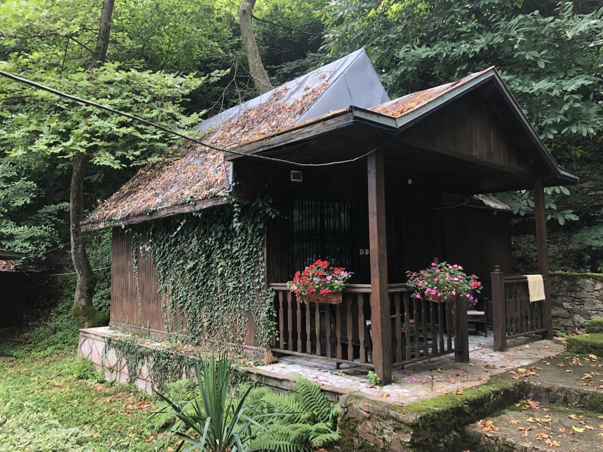 Отель Hotel Saint Nedelya Kolarovo-44
