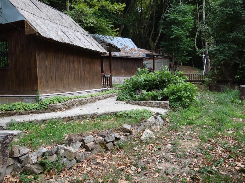 Отель Hotel Saint Nedelya Kolarovo-54