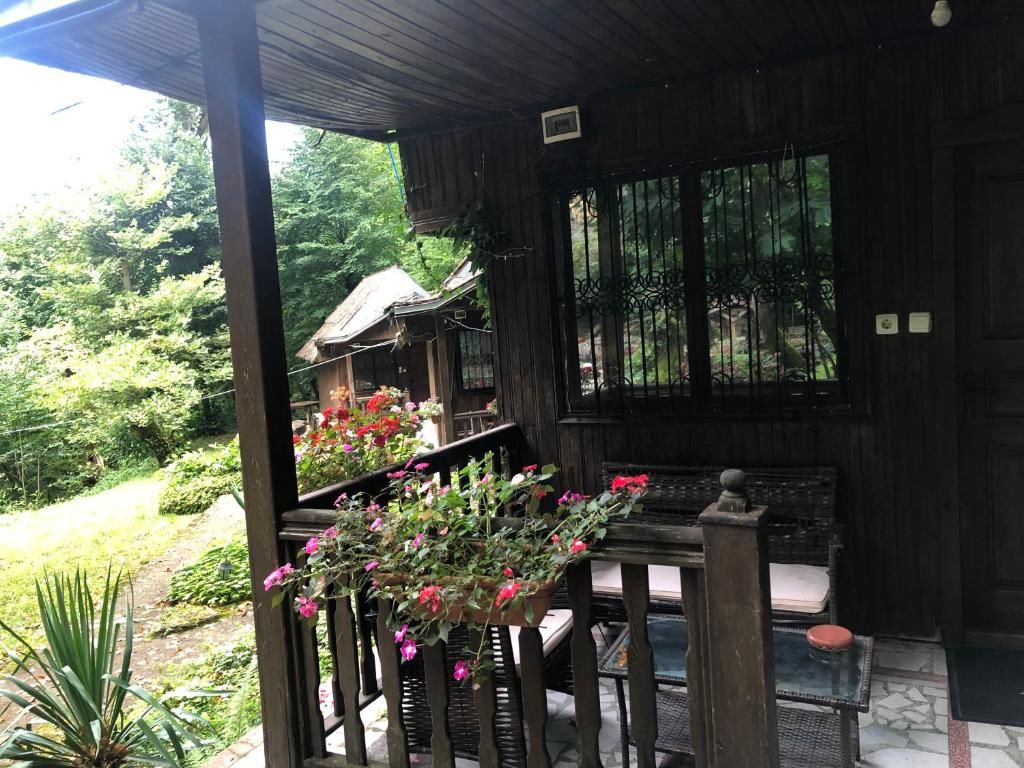 Отель Hotel Saint Nedelya Kolarovo-61