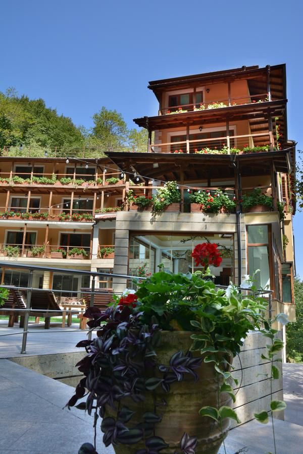 Отель Hotel Saint Nedelya Kolarovo-11